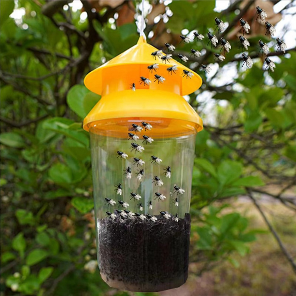 Hanging Fly Trap with Reusable Chamber and Weather Resistant Build All Vera Mart