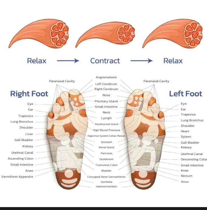 Foot Massage Mat with Adjustable Heat and Multiple Pulse Modes All Vera Mart