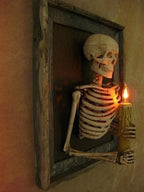 Framed Skeleton Torso Wall Display with Flickering Candle Light and Anatomical Detail All Vera Mart