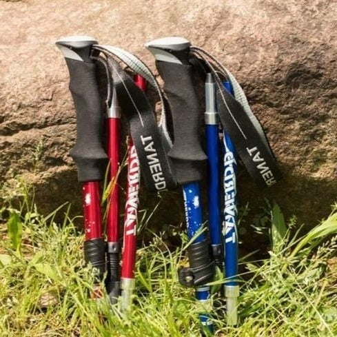 Telescoping Trekking Poles with Aluminium Construction and Ergonomic Handles All Vera Mart