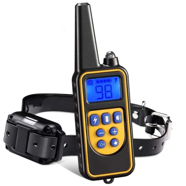 Remote Dog Training Collar with 800M Range and 99 Intensity Levels All Vera Mart