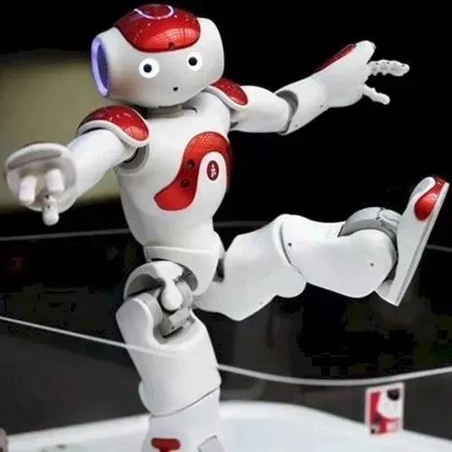Humanoid Robot with Remote Control and Dual Camera Vision, 25 Degrees of Freedom All Vera Mart