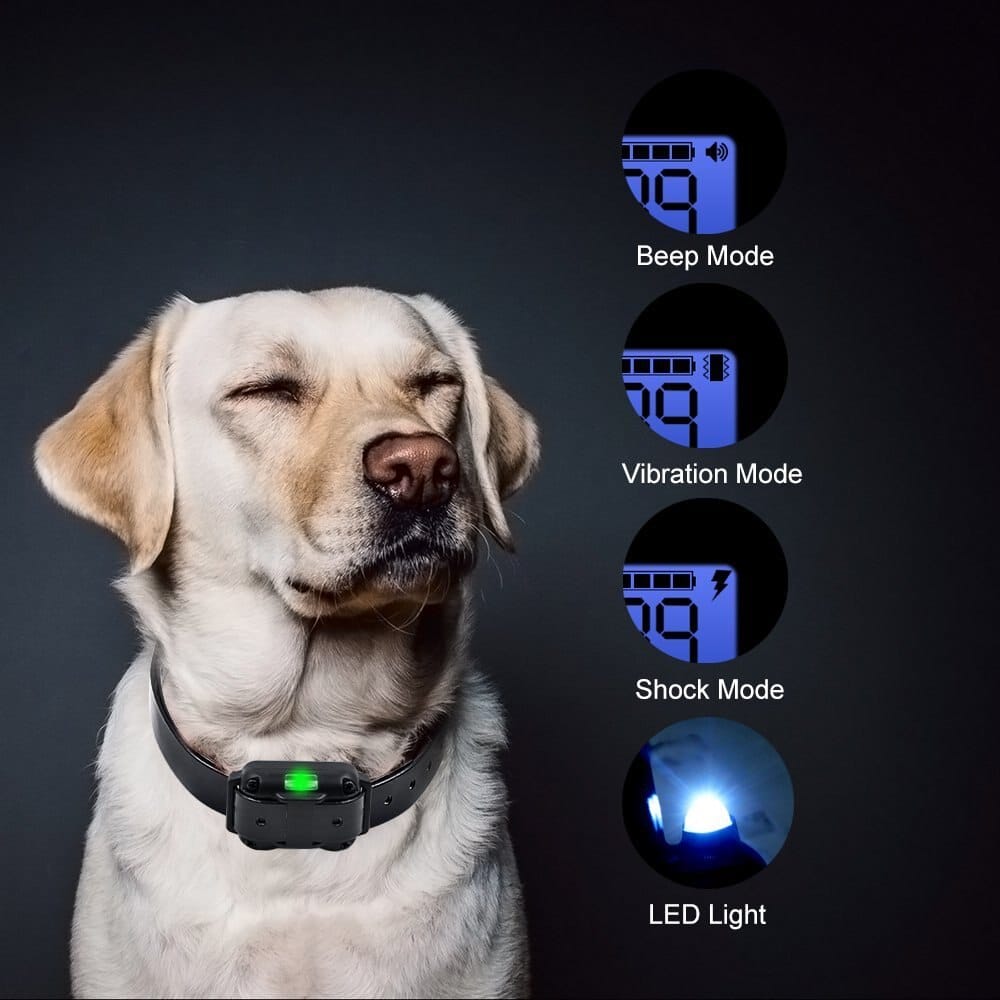 Remote Dog Training Collar with 800M Range and 99 Intensity Levels All Vera Mart