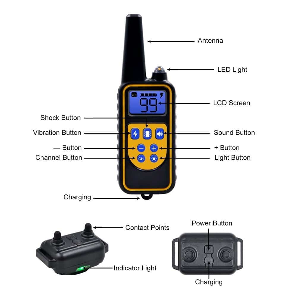 Remote Dog Training Collar with 800M Range and 99 Intensity Levels All Vera Mart