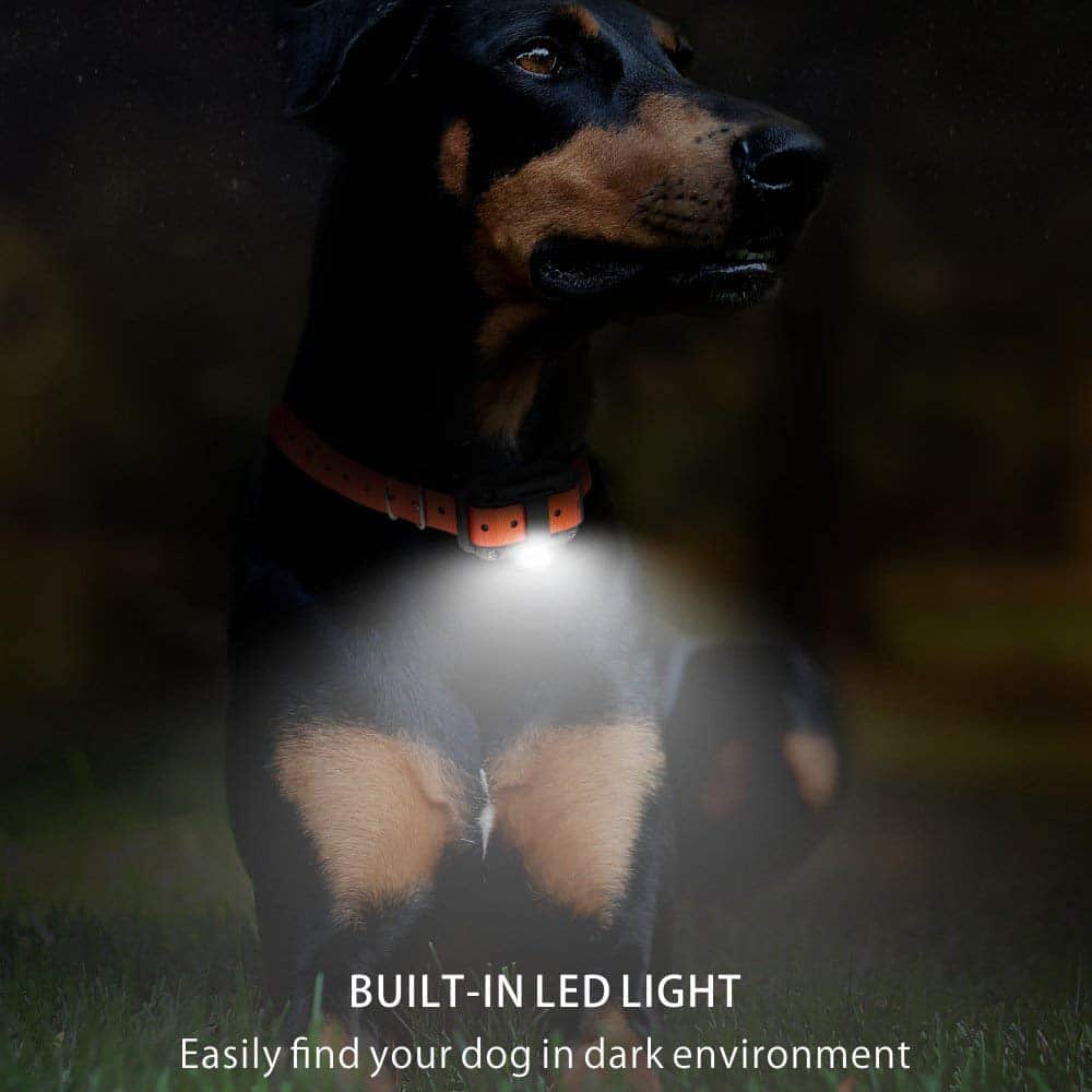 Remote Dog Training Collar with 800M Range and 99 Intensity Levels All Vera Mart