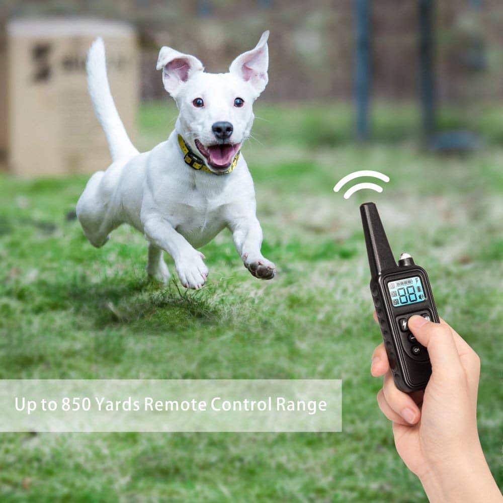 Remote Dog Training Collar with 800M Range and 99 Intensity Levels All Vera Mart