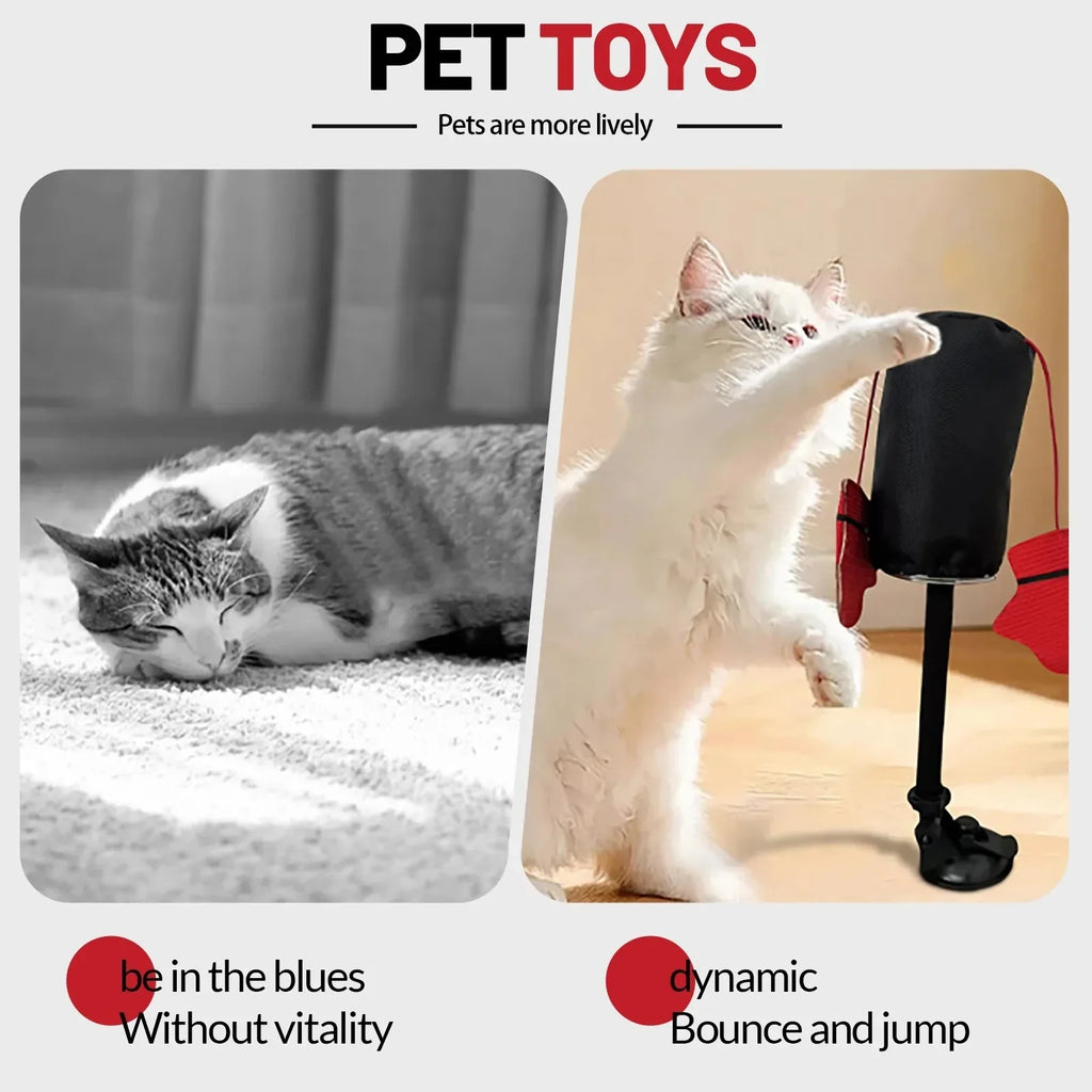 Interactive Spring Toy with Dangling Boxing Gloves and Catnip, Suction Cup Base All Vera Mart