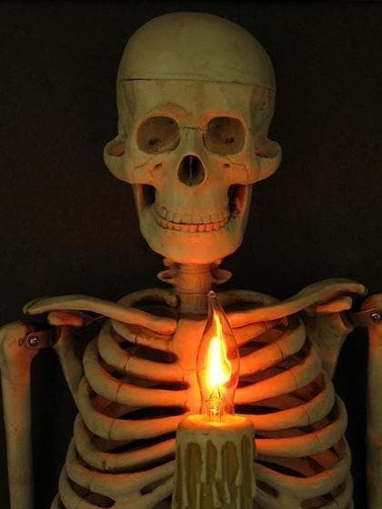 Framed Skeleton Torso Wall Display with Flickering Candle Light and Anatomical Detail All Vera Mart