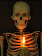 Framed Skeleton Torso Wall Display with Flickering Candle Light and Anatomical Detail All Vera Mart