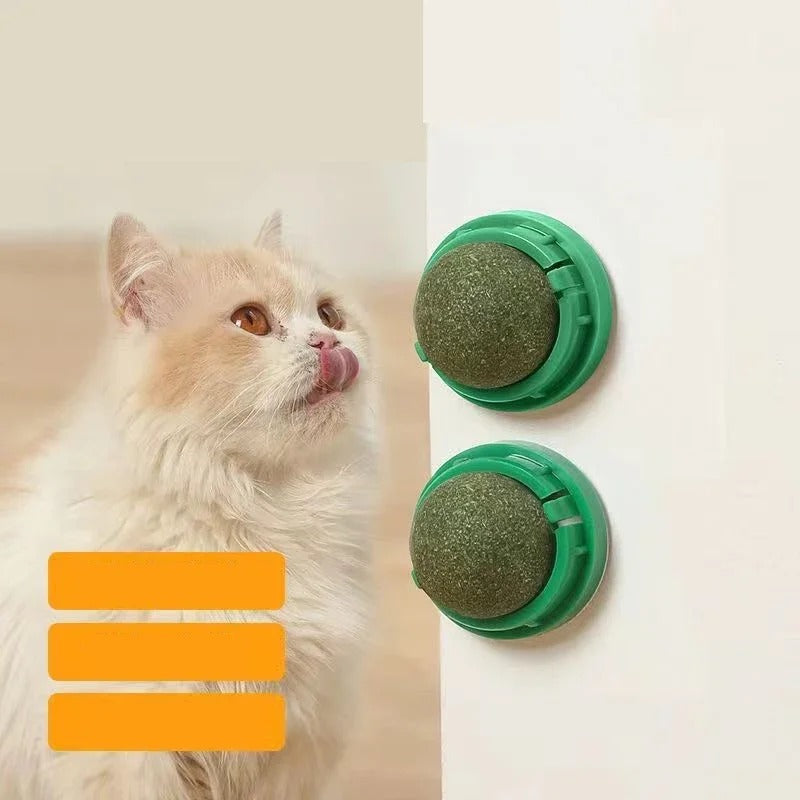 Spinning Catnip Ball with Adhesive Backing and Mint, 4-Pack Set All Vera Mart