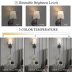 Battery Operated Wall Sconce with RGB Color Modes and Three Brightness Levels All Vera Mart