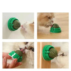 Spinning Catnip Ball with Adhesive Backing and Mint, 4-Pack Set All Vera Mart