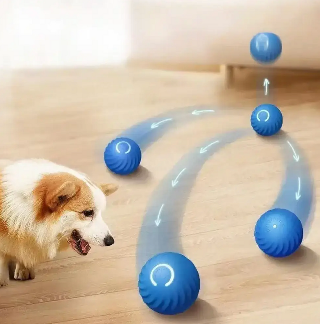 Interactive Rolling Dog Toy with Automatic Motion and Touch Activation All Vera Mart