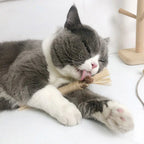 Cat Chew Sticks with Silvervine and Matatabi Wood for Kittens and Adult Cats All Vera Mart