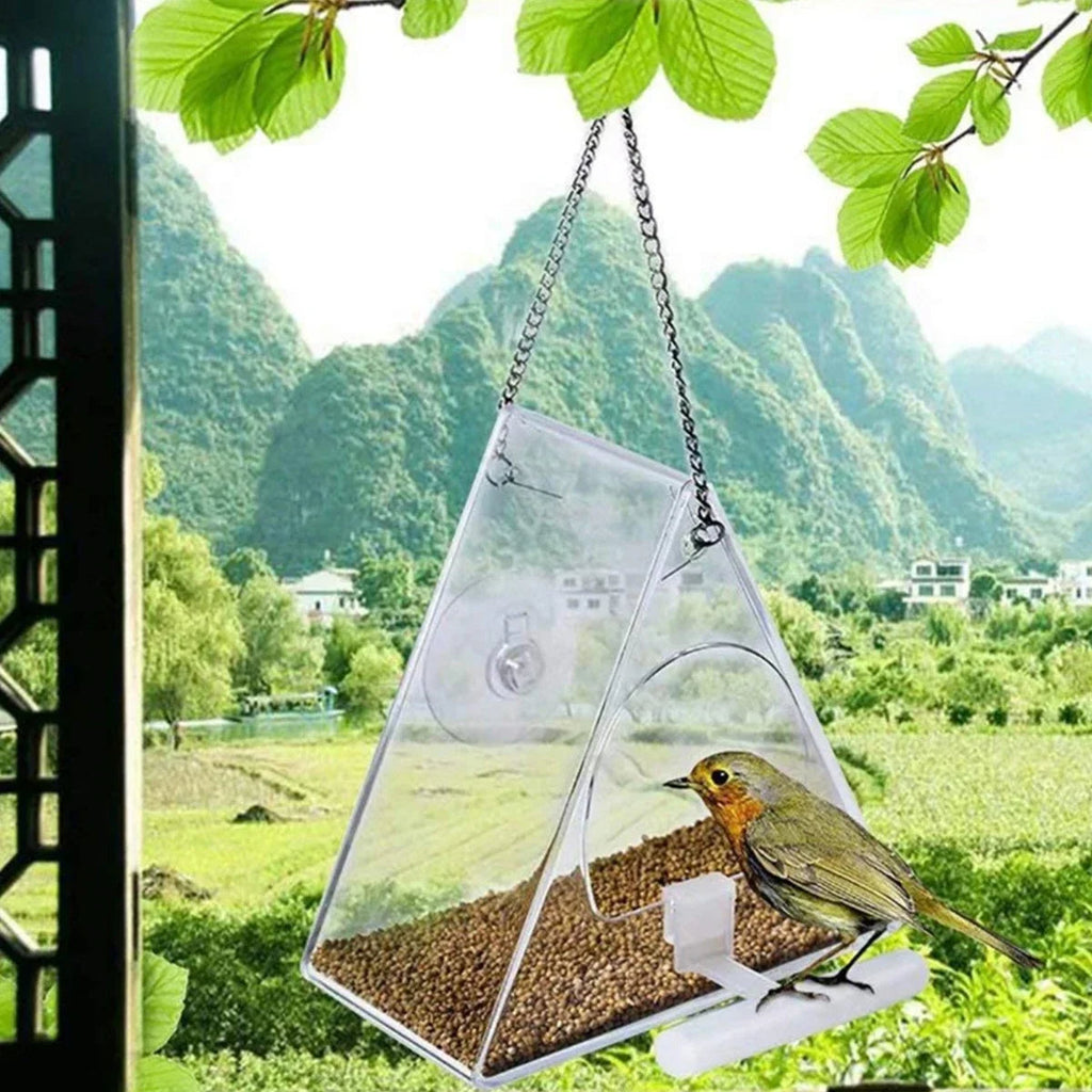 Window Mount Bird Feeder with Clear Acrylic Walls and Suction Cup All Vera Mart