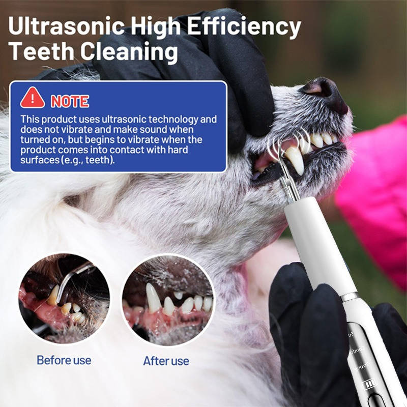 Dog Dental Scaler with LED Light and Negative Ion Technology, Rechargeable All Vera Mart