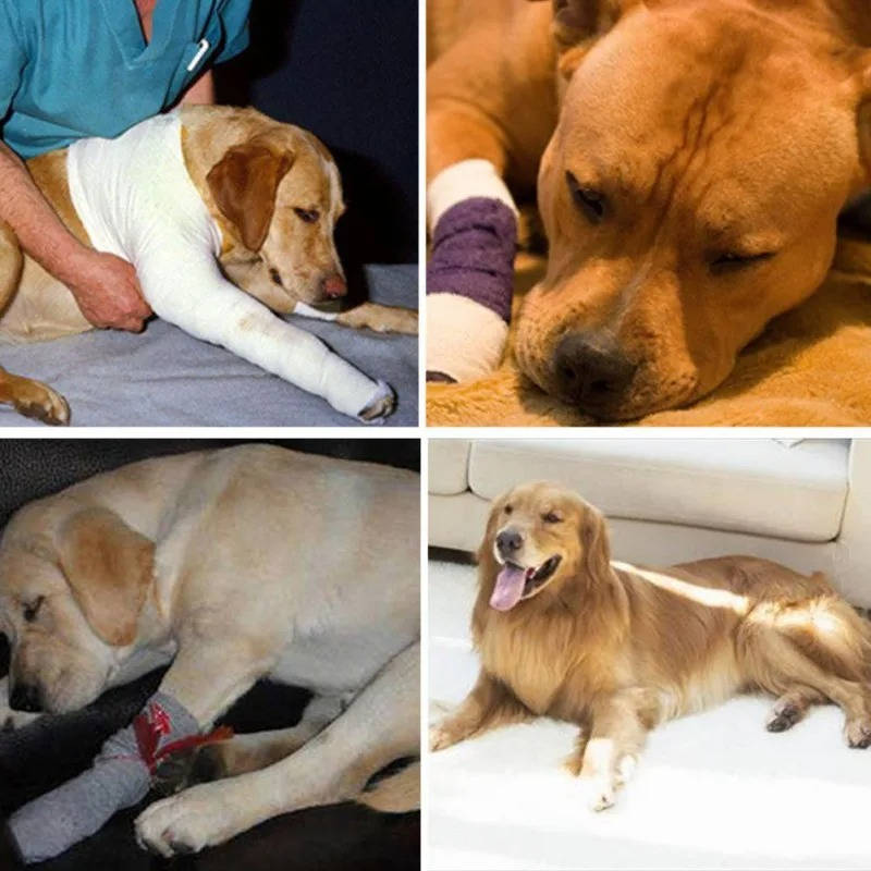 Dog Ankle Brace with Compression Support and Reflective Strips, Neoprene All Vera Mart