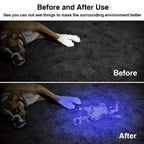 UV Pet Urine Detector Flashlight with Adjustable Zoom and Water Resistant Design All Vera Mart