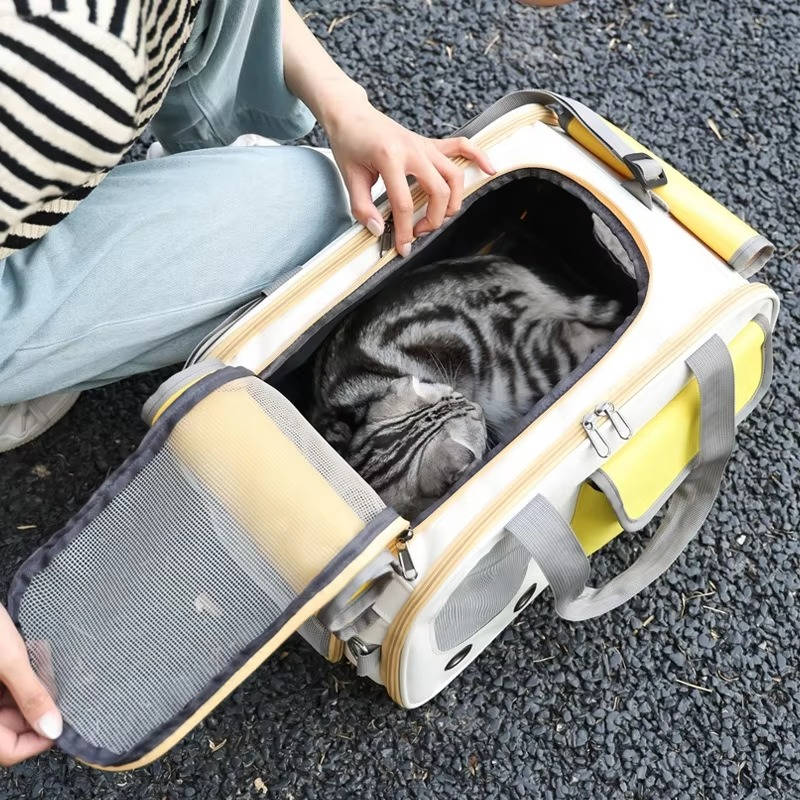 Pet Carrier with Dual Top and Side Openings and Mesh Ventilation, Foldable All Vera Mart