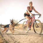 Dog Bike Tow Leash with Quick Release Buckle and Safety Rod All Vera Mart