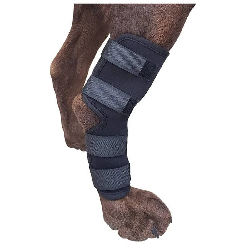 Dog Ankle Brace with Compression Support and Reflective Strips, Neoprene All Vera Mart