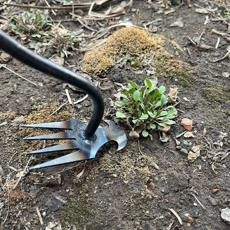 Standing Weed Puller with Four Steel Teeth and Extended Handle All Vera Mart