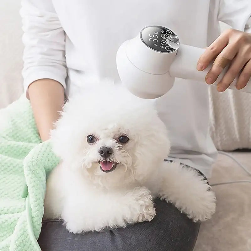 Pet Grooming Dryer with Built-in Slicker Brush and Negative Ion Technology, 4-Speed Settings All Vera Mart