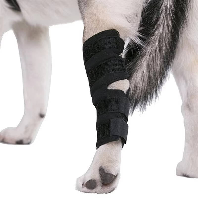 Dog Ankle Brace with Compression Support and Reflective Strips, Neoprene All Vera Mart
