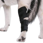 Dog Ankle Brace with Compression Support and Reflective Strips, Neoprene All Vera Mart