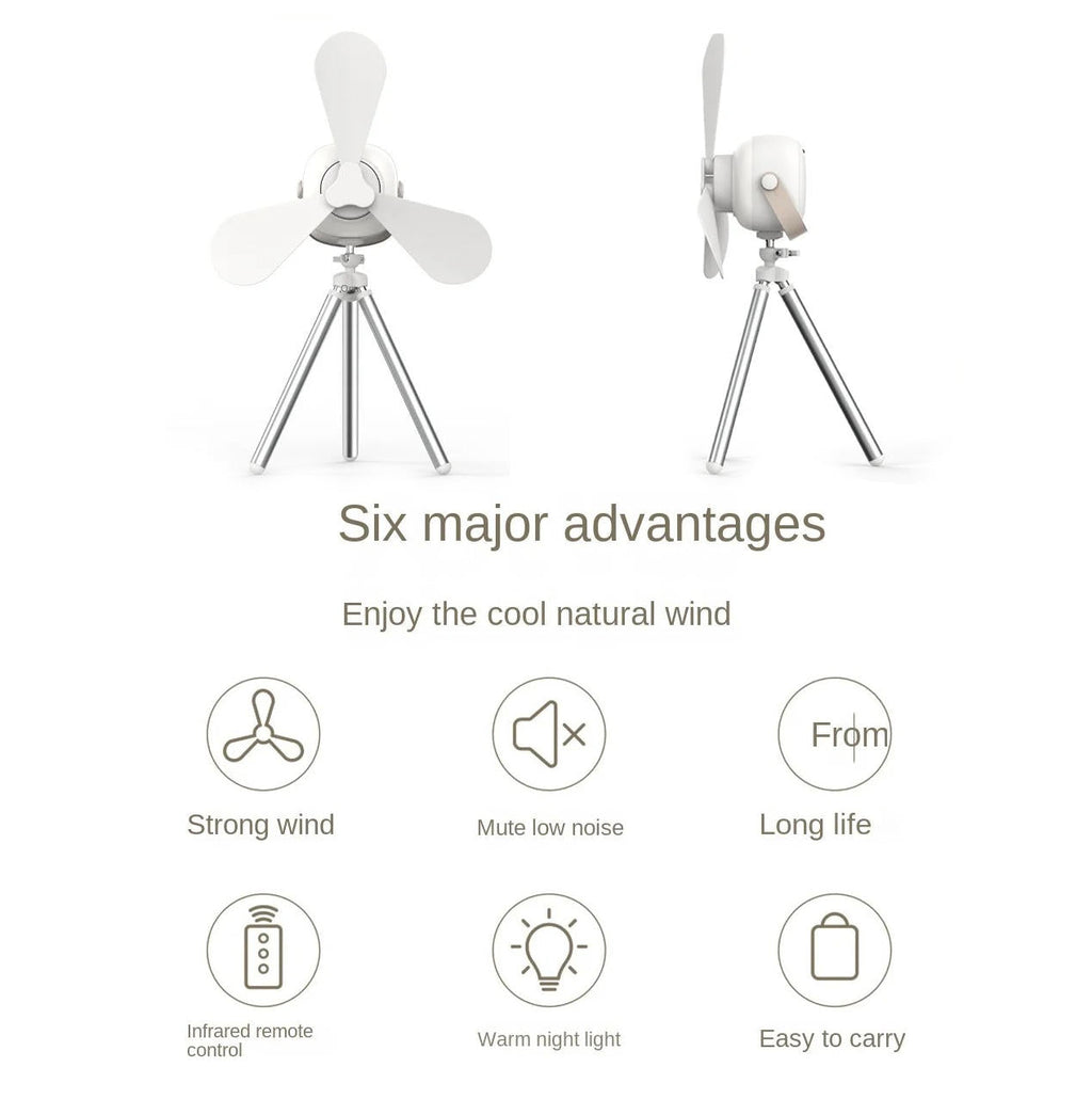 Rechargeable Hanging Fan with Remote Control and Tripod Stand, LED Light All Vera Mart