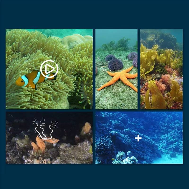 Smartphone-Controlled Underwater Drone with Live Video Camera and Gravity Sensor All Vera Mart