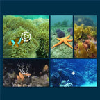 Smartphone-Controlled Underwater Drone with Live Video Camera and Gravity Sensor All Vera Mart