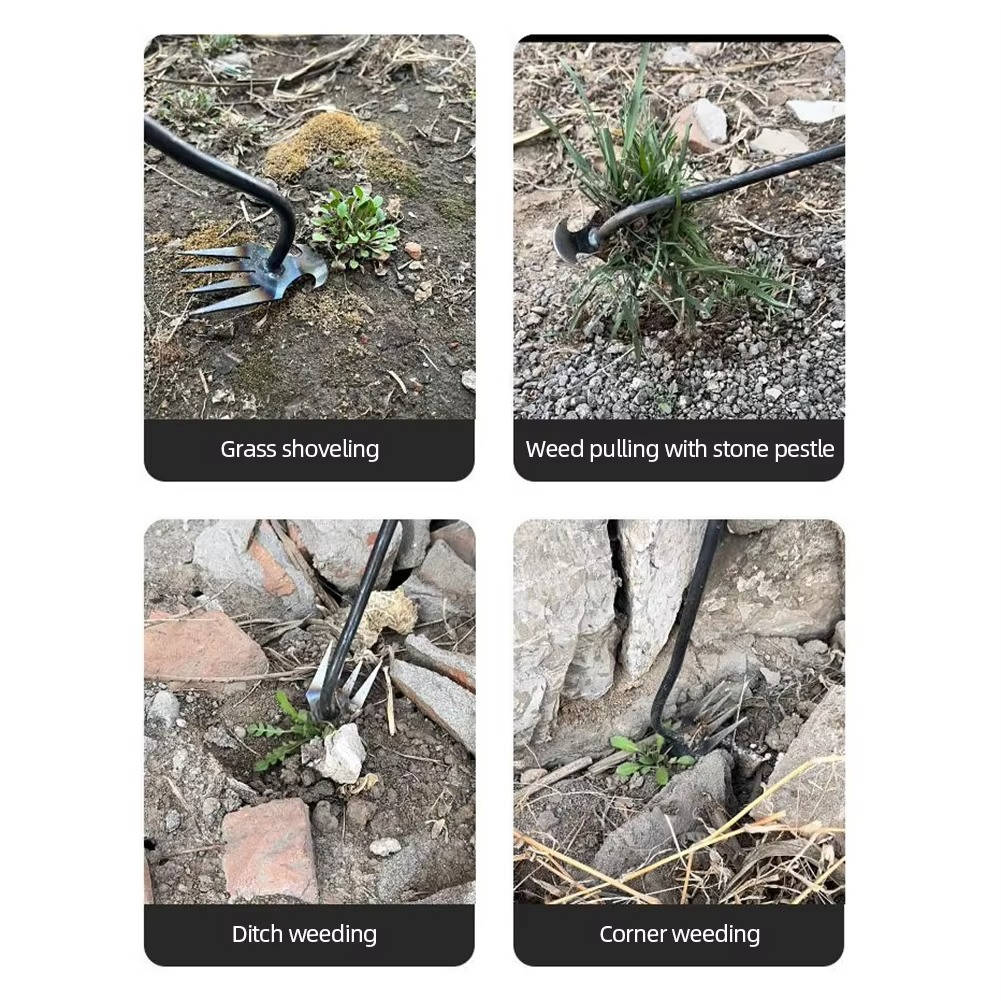 Standing Weed Puller with Four Steel Teeth and Extended Handle All Vera Mart