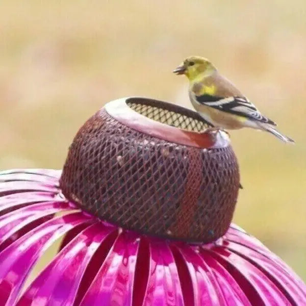Bird Feeder with Weather-Resistant Metal and Easy Refill Lid, Compact Space-Saving Design All Vera Mart