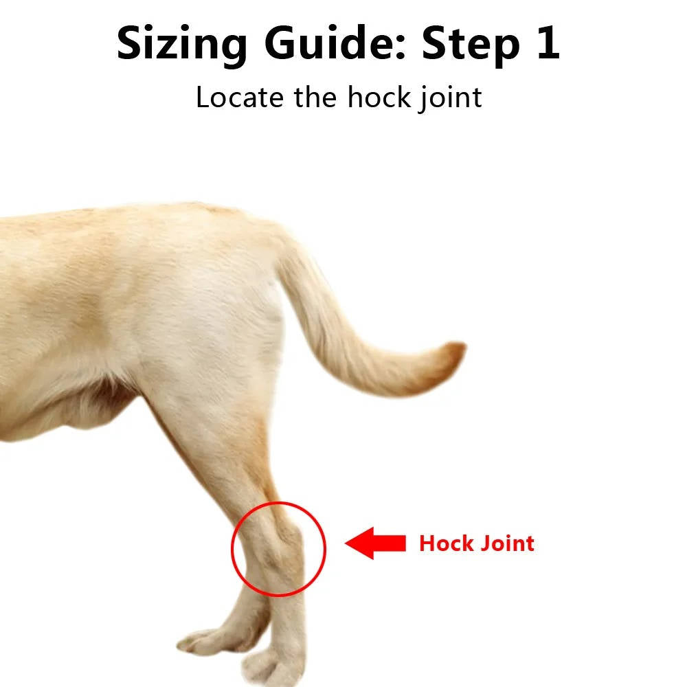 Dog Ankle Brace with Compression Support and Reflective Strips, Neoprene All Vera Mart