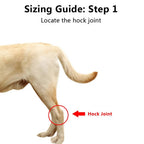 Dog Ankle Brace with Compression Support and Reflective Strips, Neoprene All Vera Mart