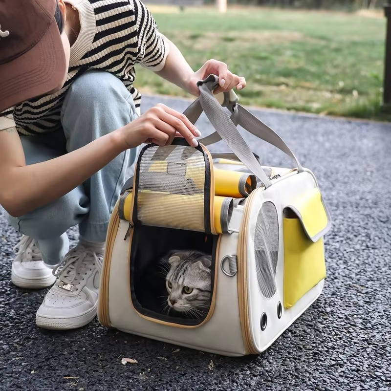 Pet Carrier with Dual Top and Side Openings and Mesh Ventilation, Foldable All Vera Mart