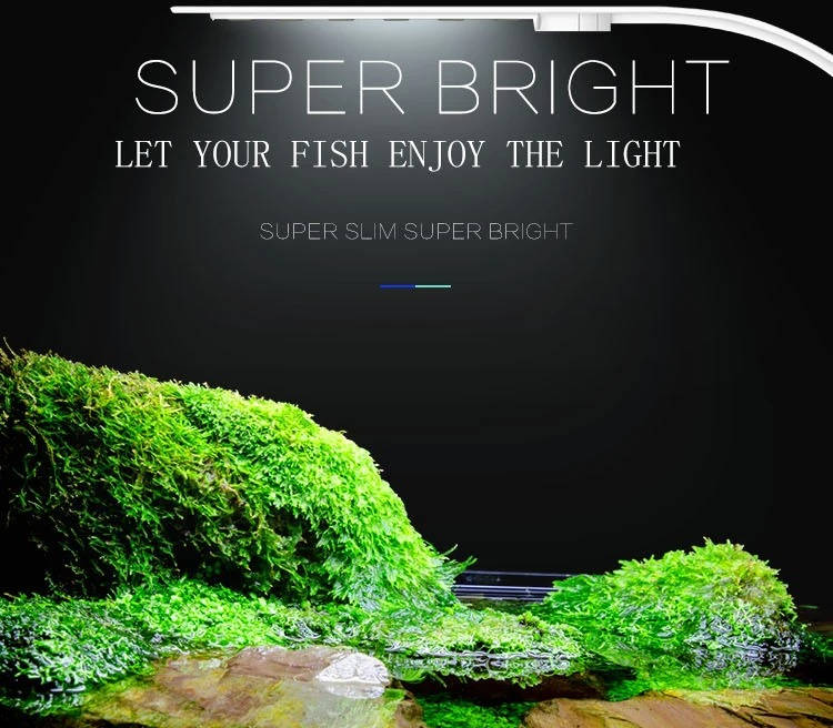 LED Aquarium Light with Clip Mount and Natural Spectrum for Plant Growth All Vera Mart