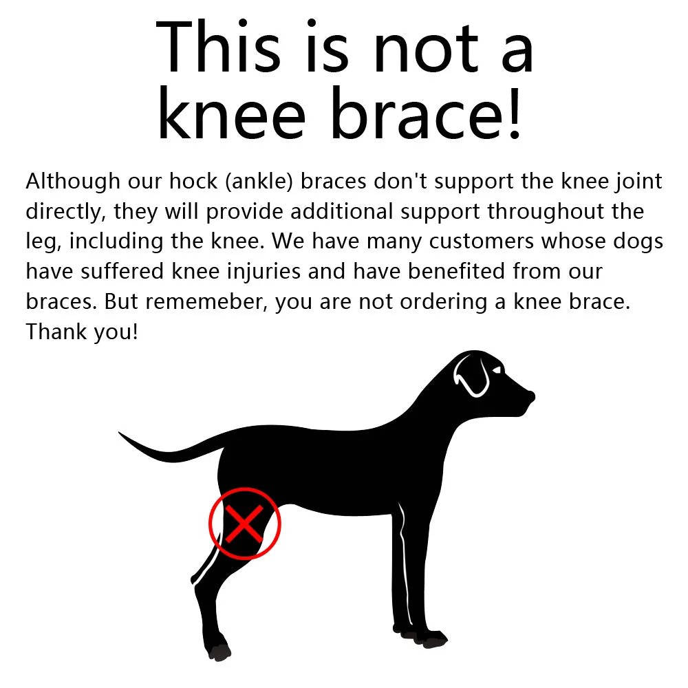 Dog Ankle Brace with Compression Support and Reflective Strips, Neoprene All Vera Mart