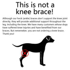 Dog Ankle Brace with Compression Support and Reflective Strips, Neoprene All Vera Mart