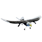 RC Eagle Aircraft with Gyro Stabilization and Dual Channel Remote, 15in Wingspan All Vera Mart