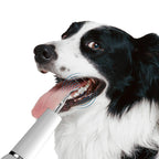 Dog Dental Scaler with LED Light and Negative Ion Technology, Rechargeable All Vera Mart