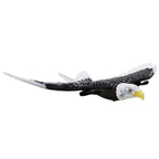 RC Eagle Aircraft with Gyro Stabilization and Dual Channel Remote, 15in Wingspan All Vera Mart