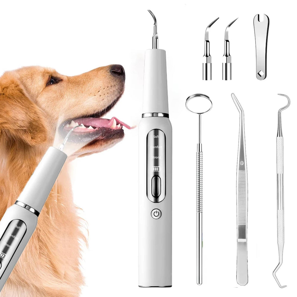 Dog Dental Scaler with LED Light and Negative Ion Technology, Rechargeable All Vera Mart