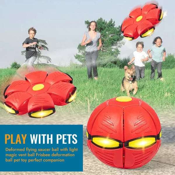 Transforming Flying Disc Ball with Motion Activated Light and Textured Grip All Vera Mart