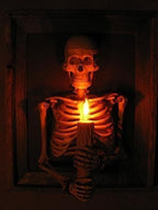 Framed Skeleton Torso Wall Display with Flickering Candle Light and Anatomical Detail All Vera Mart