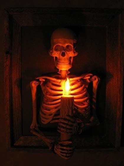 Framed Skeleton Torso Wall Display with Flickering Candle Light and Anatomical Detail All Vera Mart