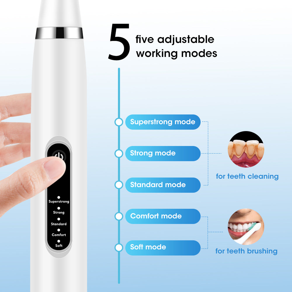 Ultrasonic Teeth Cleaner with Stainless Steel Head and Endoscope Attachment All Vera Mart