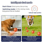 Interactive Rolling Dog Toy with Automatic Motion and Touch Activation All Vera Mart