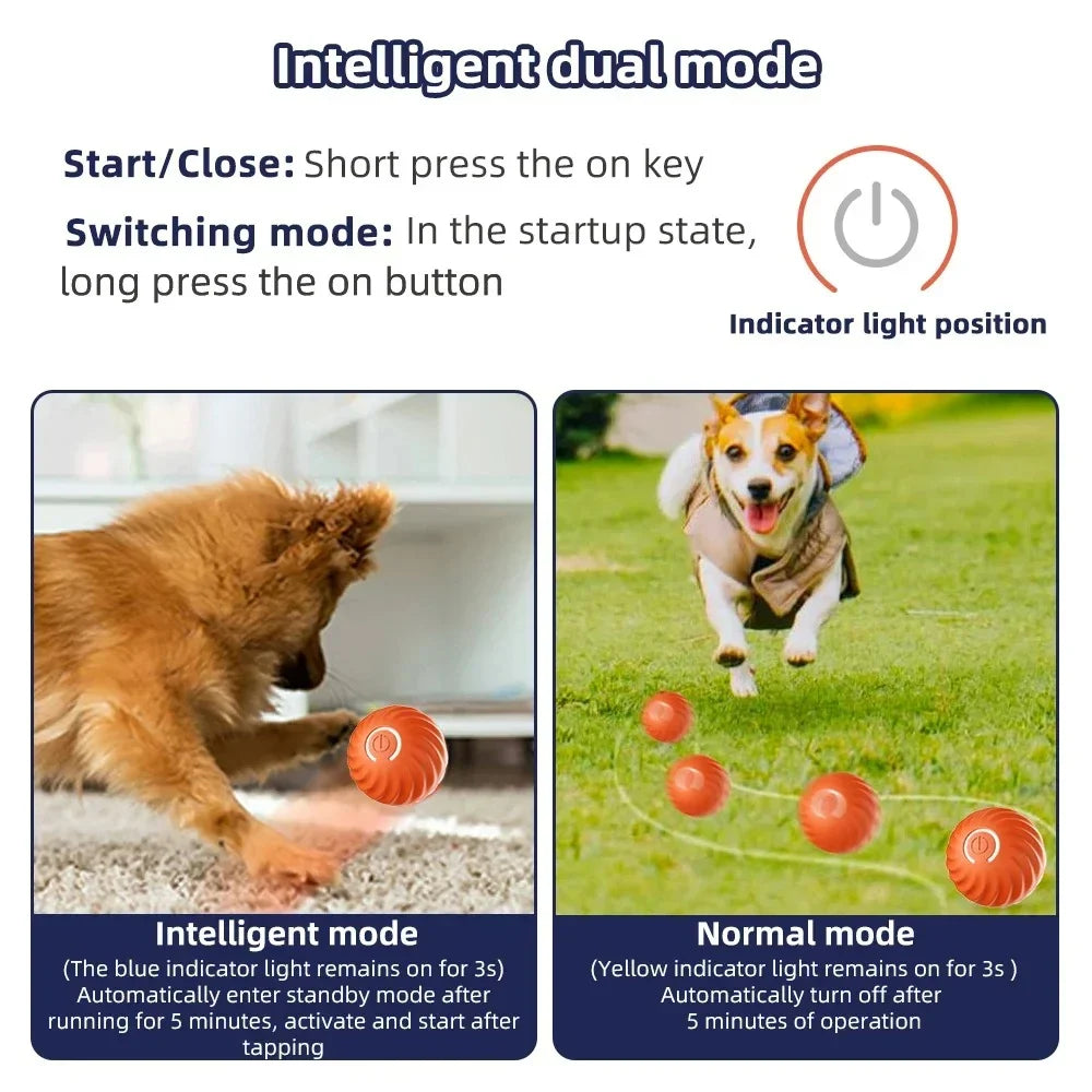 Interactive Rolling Dog Toy with Automatic Motion and Touch Activation All Vera Mart